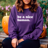 Be A Nice Human Sweatshirt